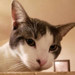 Meet your Posher, Doris